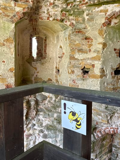 This is a medium shot, eye-level photograph of a section of the ruins of Vana-Vastseliina Castle in Estonia. In the foreground, a dark wooden railing runs horizontally across the frame, with a portion of a dark wooden post on the left. Attached to this post is a white square sign with a drawing of a yellow and black striped bee with wings outstretched, and a black exclamation point to its left. The bee is depicted with a slightly menacing expression.

Behind the railing and the sign, the stone and brick walls of the castle ruins are visible. The walls are rough and weathered, with visible sections of red brick and yellowish-brown stone, interspersed with mortar. In the background, a narrow, arched window opening in the ruined wall allows a glimpse of the outdoors, with greenery visible through the aperture. The environment appears to be an outdoor historical site, possibly a tourist attraction, given the presence of the warning sign. The lighting is natural and diffused, suggesting an overcast or shaded day.