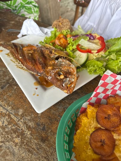 The image displays a meal served on a textured brown table surface in La Ceiba, Honduras. A whole, deep-fried fish, appearing to be a red snapper type with its reddish-brown, crispy skin and intact head and fins, is centrally positioned on a rectangular white plate. Splashes of a light brown sauce are visible beneath the fish. Accompanying the fish on the plate is a side salad, consisting of green lettuce leaves, sliced red bell pepper, sliced cucumber, and purple-tinged red onion pieces, dressed with a creamy yellow sauce. A small portion of brown rice is situated behind the salad. A crumpled white paper napkin rests near the main plate. In the lower right foreground, a green plastic basket with a perforated rim holds an assortment of golden-brown fried plantains, including both thin, flattened pieces and thicker, round slices, all contained within a red and white checkered paper liner. A person wearing a white garment is partially visible on the right side of the frame, while another individual in a green and white patterned garment is partially visible on the upper left. The background is blurred, showing indistinct wooden structures, characteristic of a restaurant or dining area.