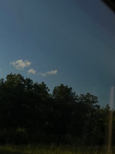 The image shows a dark silhouette of a dense tree line against a bright blue sky. A few scattered, wispy clouds are visible in the upper portion of the sky. The foreground consists of tall, dry grass. A utility pole with wires is partially visible in the trees on the right side of the image. There are no people or visible actions taking place. The scene appears to be an outdoor natural environment, likely a rural area or the outskirts of a town. Without further context or identifiable landmarks, it is not possible to definitively locate this scene within Wittenberg, Germany.