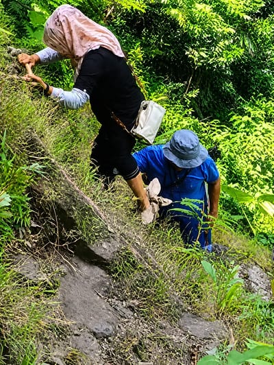 In the city of Gunung Ambat, Indonesia, two individuals are captured on a steep, vegetated slope. The person in the foreground, wearing a light pink hijab and a black long-sleeved shirt with a white bag slung across their chest, is gripping a thick rope with their left hand, appearing to ascend. Their right hand is also on the rope, suggesting effort in climbing. To their right and slightly lower, a second individual, attired in a blue shirt and a blue hat, is bent over, reaching with their right hand towards something on the ground, possibly assisting the first person or retrieving an object. Both are surrounded by lush green foliage, with rocky terrain and dense vegetation characteristic of a natural, outdoor environment. The lighting suggests daylight, with shadows indicating the sun's position.