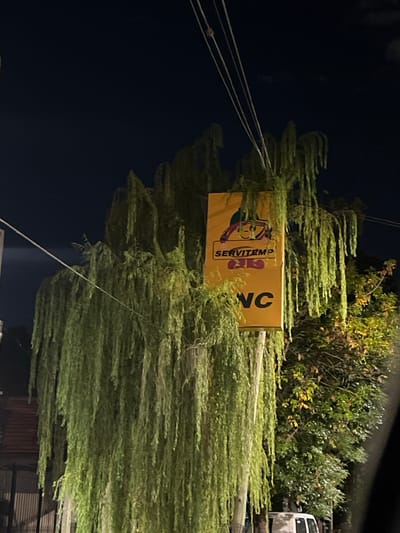 This is a nighttime vertical shot of a street scene in Lomas de Zamora, Argentina, dominated by a large weeping willow tree. The tree occupies the majority of the left and central frame, featuring long, light-green foliage illuminated by an unseen artificial light source. Partially obscured by the willow's leaves, a prominent yellow vertical sign is centrally located. The sign displays a cartoon character at the top, a red banner with "SERVITEMP" in white text, and "VC" in large black letters at the bottom. Multiple dark overhead utility lines traverse the upper third of the image diagonally from the upper left. To the right of the willow, a second tree with denser, darker green foliage is visible. In the lower background, behind the willow, a dark fence or gate structure is present. A white vehicle, possibly a van, is partially visible at the bottom right, behind the darker tree. No individuals or specific actions are discernible. The sky is dark blue/black.