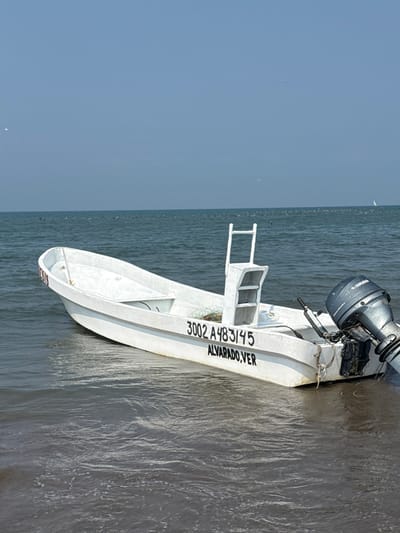 A white, open-top utility boat is partially beached in the shallow, dark-rippled water along the coastline of Antón Lizardo, Mexico. The vessel is oriented with its bow towards the left foreground and its stern towards the right, under a clear, light blue sky. The boat features a dark grey Yamaha outboard motor mounted on the transom, which is partially submerged. Black alphanumeric markings on the starboard hull read "3002 A483145" with "ALVARADO, VER" beneath them. A white, ladder-like structure, possibly a small console or seat support, is situated midship on the starboard side. The boat's interior contains a tangled net or rope. A white rope is visible near the stern, extending into the water. The surrounding water is shallow in the foreground, transitioning to deeper ocean extending to the horizon. Numerous dark specks, consistent with a flock of birds, are visible on the water's surface in the mid-ground, and several white birds are present in the sky. A faint white object, possibly a distant sail, is discernible on the far-right horizon. No people are visible in the scene.