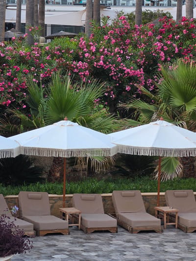 The image shows an outdoor scene with loungers and umbrellas in front of lush vegetation and palm trees. The loungers are arranged on a patterned stone patio. Two white umbrellas with decorative fringe provide shade. Behind the loungers, a wall covered in green foliage and pink flowering bushes is visible. Tall palm trees are interspersed throughout the scene, with some appearing to be part of a larger structure in the background. The setting suggests a resort or hotel area in Hlorakas Community, Cyprus. There are no people visible in the image.