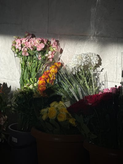 The image depicts a still life arrangement of flowers, likely displayed for sale. A variety of flowers are visible, including pink alstroemeria, orange and yellow tulips or lilies, white chrysanthemums, red roses, and yellow roses. The flowers are predominantly wrapped in clear plastic. They are placed in buckets or planters, one of which is a dark gray bucket with a white label. The background consists of a textured, light-colored wall, possibly brick or concrete, with dramatic shadows cast by the lighting, suggesting indoor or shaded outdoor conditions. The lighting also creates a pattern of light and shadow on the wall. The image does not contain any people or explicit actions. The setting appears to be a commercial space, possibly a flower shop or market stall. There is no information in the image that specifically places this scene in the city of Masis, Armenia.