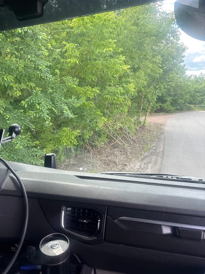 The image, captured from the interior of a vehicle, shows a view through the windshield of a paved road curving to the right, bordered by dense green foliage on the left and right. The foliage consists of trees and bushes with numerous leaves. A dirt path runs alongside the road on the left, transitioning into the brush. The interior of the vehicle is visible in the foreground, featuring a black dashboard with an air vent and a cylindrical object. The scene appears to be in a rural or suburban area with natural vegetation.