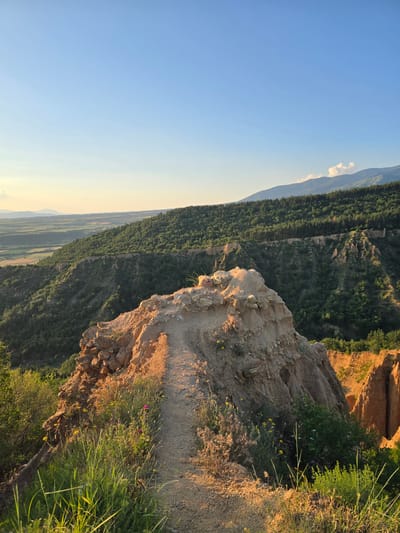 The image presents a panoramic view of the Stob Earth Pyramids geological formations, located near the village of Stob in Bulgaria, under a clear, transitioning sky indicative of the golden hour. The sky dominates the upper portion, displaying a gradient from a vibrant blue overhead to a pale, yellowish-orange near the horizon. Sparse, small white cumulus clouds are present above the distant mountain range on the right.
The central and right-hand mid-ground features a dense, dark green coniferous forest covering undulating hills, which gradually ascend to a more distant, hazy blue mountain range. To the far left, a valley extends, revealing a patchwork of agricultural fields with varying shades of green and brown.
In the immediate foreground, a prominent, eroded earth pyramid occupies the lower left to center. Its surface is composed of textured, light brown to reddish-brown sandstone and conglomerate, intensely illuminated by the low-angle sunlight. A narrow, winding dirt path, approximately 0.5 to 1 meter wide, traverses the peak of this pyramid, curving slightly to the right. The path's surface is light brown, contrasting with the surrounding terrain.
Vegetation flanks the path and parts of the pyramid. Lush green grasses, intermingled with various wildflowers, including yellow dandelions and sporadic magenta/purple blossoms, grow on the sunlit slopes. Other parts of the foreground exhibit drier, golden-hued grasses. Further down the slopes and into the gullies, additional earth pyramids with their characteristic eroded shapes and orange-brown hues are visible, interspersed with patches of green scrub and small trees. No human figures or man-made structures are observed within the frame.