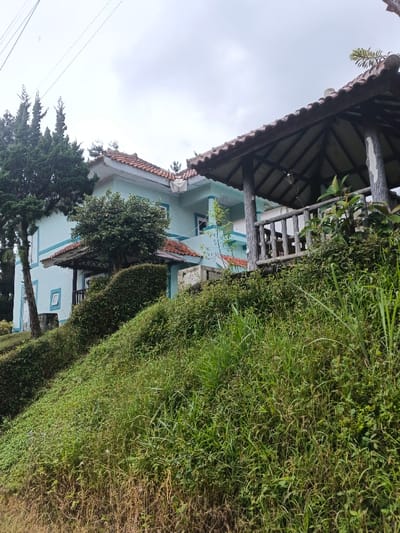 The image displays a two-story residential structure and a separate gazebo situated on a steep, overgrown hillside under an overcast sky in Pô Kô, Vietnam. The main building exhibits light blue exterior walls with teal trim and a multi-gabled terracotta-tiled roof. A covered porch is visible on the lower level, and an upper-level balcony features white railings. A tall evergreen tree stands to the left of the house, and dense green shrubbery surrounds the building's base. To the right, positioned higher on the slope, is an open-sided gazebo with a similar terracotta-tiled roof, supported by rustic log-like pillars, and equipped with a matching railing. The foreground and midground are dominated by a steep incline covered in a dense, wild mix of green and dry grasses, weeds, and other vegetation. Thin utility lines are visible against the cloudy sky in the upper left. No individuals or active interactions are observed in the scene.