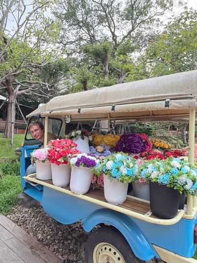 A Caucasian man is seated in the driver's area of a light blue three-wheeled tuk-tuk, which is parked on a gravel surface in Mae Rim, Thailand. The tuk-tuk's cargo area is filled with an assortment of artificial flowers in various colors, including pink, red, white, purple, yellow, and blue. Several large white buckets and one black bucket are used to display these flowers. The man is looking towards the viewer and smiling. The background consists of lush green foliage and trees, suggesting an outdoor setting. The overall scene appears to be a flower vendor's stall.