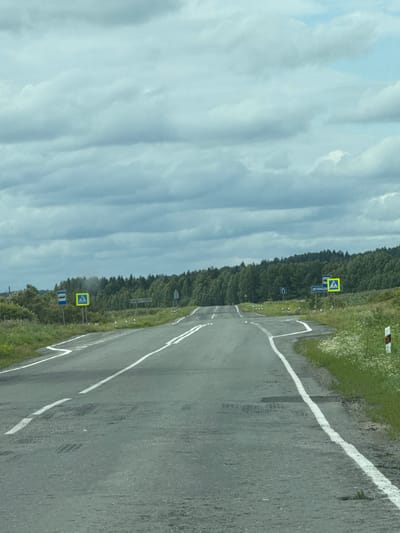 The image shows a two-lane asphalt road with white lane markings, curving to the right through a rural landscape under a cloudy sky. On the left side of the road, there are two blue and yellow signs. The first sign is blue with a white silhouette of a bus, indicating a bus stop. The second sign is yellow with a black silhouette of a pedestrian crossing. Further down the road on the right, there is another set of similar signs, with the yellow sign featuring the word "ДЕВЯШИ" in Cyrillic above the pedestrian crossing symbol. The road is bordered by green grass and wildflowers on both sides, with a dense forest in the background. There are several white posts with red and white reflective markers along the right side of the road. The overall impression is of a rural highway in Russia, likely near the settlement of Klyuchi, given the presence of Cyrillic text on a sign.