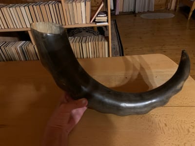 In Mepiskalaki, Georgia, a hand, likely belonging to an adult, grasps a curved, dark-colored horn object with a textured, possibly wooden, surface. The horn rests on a light-colored wooden table. In the background, a bookshelf filled with numerous books is visible, with spines of varying colors and designs. Beyond the bookshelf, a wooden floor extends into the distance, with a rug and some draped fabric visible on the right side. The lighting suggests an indoor setting, possibly a home.