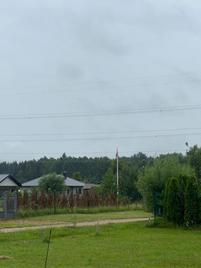 The image depicts a rural scene in Astoņi, Latvia, under an overcast sky. In the foreground, a lush green lawn is interspersed with small yellow wildflowers and a gravel path. A dark, slender pole emerges vertically from the grass in the mid-ground, and other less distinct wooden stakes are visible. A metal gate with vertical bars is on the left, partially obscured by overgrown vegetation.
Behind the gate and lawn, several houses are visible. The house on the far left has a dark roof and dark siding. The central house is larger, with a grey metal roof and light-colored walls, featuring a chimney. Reddish-brown shrubs and fences line the property. To the right, more dense greenery and trees are present.
In the background, a dense line of dark green trees forms the horizon. Several thin, dark horizontal lines, indicative of power lines, stretch across the sky. A flagpole with a red and white flag is positioned to the left of the central house, a brief splash of color against the muted backdrop. The overall atmosphere is somber due to the cloudy weather.
