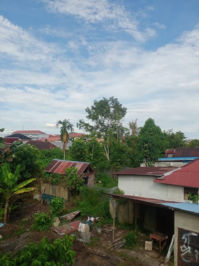 This is an eye-level, medium shot image taken in Pontianak, Indonesia, depicting a residential area characterized by a mix of modest houses and lush vegetation under a partly cloudy sky. The scene is dominated by a variety of structures, including houses with corrugated metal roofs in shades of red and blue, some appearing well-maintained and others showing signs of disrepair. A small, dilapidated wooden structure with a rusty red roof is visible in the foreground, surrounded by overgrown plants. To the left, a banana tree with large, green leaves stands prominently.
In the background, larger buildings with red roofs are visible, suggesting a more developed part of the city. The landscape is heavily vegetated, with numerous trees and shrubs creating a dense green canopy that partially obscures the buildings. The sky is a bright blue, punctuated by scattered white clouds, indicating fair weather. There are no people visible in the image. The overall impression is of a semi-urban environment where nature is integrated with human settlement, with a focus on the humble architecture and abundant greenery characteristic of tropical regions in Indonesia.