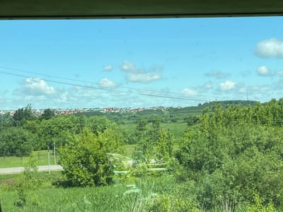 This media file depicts a scenic landscape on a bright, sunny day with a clear blue sky and scattered white clouds. The foreground is dominated by lush green grass and tall reeds, with a path or road partially visible on the left. Beyond this, a dense line of trees and bushes stretches across the middle ground, giving way to a rolling green hill. In the distance, a town or village is spread out, characterized by numerous houses with red and orange roofs, nestled amongst the trees and on the hillsides. Power lines traverse the sky in the upper portion of the image, suggesting the presence of infrastructure. The overall scene conveys a sense of rural tranquility and natural beauty, likely captured during daytime in a temperate climate. No people or specific objects are prominently featured, placing the emphasis on the natural environment and the distant settlement. The context provided places the location in Nizhnyaya Korsa, Russia.