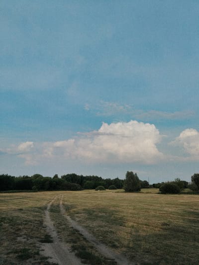 This media file depicts an outdoor scene in a field with a dirt track leading through it. The field is covered in dry grass and is bordered by a dense line of trees and bushes. The sky is a pale blue with several white, fluffy clouds, suggesting it is daytime with fair weather. The light suggests it could be late afternoon or early evening, as the grass is somewhat shadowed in places.
There are no people or specific objects visible that would indicate a particular activity or event. The scene is natural and peaceful, evoking a sense of rural tranquility. The location cues, such as the type of vegetation and the open field, are consistent with a rural or semi-rural environment. There is no visible text in the image. The overall impression is one of a quiet, natural landscape.