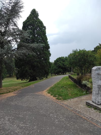 An outdoor, eye-level shot shows a paved path in a park or cemetery on an overcast day. The path curves away from the viewer, leading into a grove of trees. On the left side of the path is a large, dark green evergreen tree, with a lighter green tree to its left. The right side of the path is bordered by a low, dark wall with grass and low-lying plants. Further along the path on the right, a stone sculpture stands next to a cobblestone section of the walkway. The sky is gray and cloudy, with the overall impression being one of a serene and somewhat somber atmosphere. No people are visible in the image.