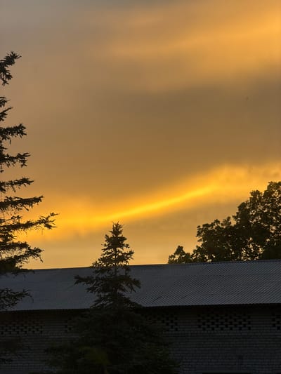 A twilight scene in Tarusa, Russia, features a cloudy, golden-orange sky with a bright, diagonal band of light illuminating the clouds. Silhouetted trees, including pine trees, are visible in the foreground and middle ground. A building with a corrugated metal roof and a brick facade with patterned openings is situated below the trees. The overall impression is one of a serene evening in a semi-rural or suburban setting.