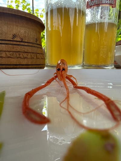 A close-up shot captures a boiled crawfish on a white surface, with two glasses filled with a yellow, foamy liquid and a wooden container in the background. The crawfish, with its bright orange exoskeleton, is positioned in the foreground, its antennae extending forward. The glasses of liquid, likely beer, are slightly out of focus. The wooden container, possibly a pot or barrel, displays carved decorative patterns. The scene is set outdoors, with foliage and sky visible in the background, suggesting a natural or garden environment. The image does not provide any specific details about the city of Serhiivka, Ukraine.