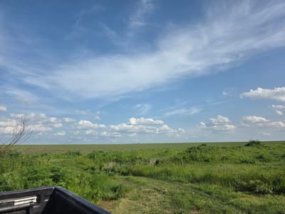 The image shows a rural landscape with a field and a grassy path. A field of cultivated plants is visible in the middle distance. The foreground consists of overgrown grass and weeds, with a path cutting through it. The sky is blue with scattered white clouds. The back of a vehicle is visible in the lower left corner of the image. It's not possible to confirm the location is Daskal-Atanasovo, Bulgaria based solely on the visual information. There are no people visible in the image.