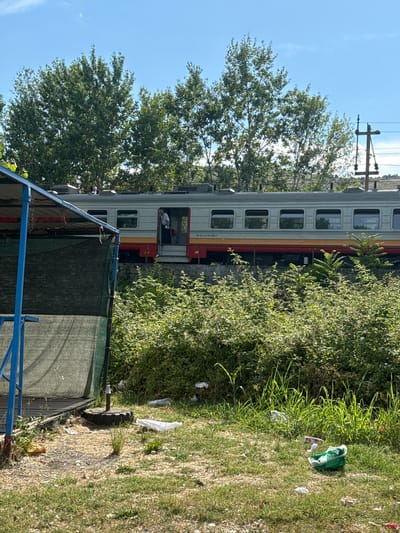 This media file shows an outdoor scene in Goričani, Montenegro. A train is parked next to overgrown green foliage. The train is light gray with red and yellow stripes along its side. One of its doors is open, revealing a person inside. The train cars have multiple rectangular windows.
In the foreground, a blue metal structure with a green mesh covering is visible. Behind the train, a large tree with dense green leaves stands tall against a clear blue sky. In the grassy area to the right of the train, there is scattered litter, including plastic bags and white paper. Power lines and poles are visible in the background above the trees and train. The lighting suggests it is daytime, likely sunny. The scene appears to be a somewhat neglected area near a railway. There is some text visible on the side of the train: "94 62 1 416 045-7".