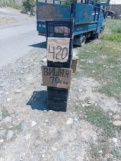 The image shows a blue truck parked on a dirt road, likely in Kojo-Aryk, Kyrgyzstan. The truck is an older model with a flatbed. Next to the truck, several black plastic crates are stacked, and two pieces of cardboard with writing on them are placed on top of the crates. The cardboard on the left has "420" written in black marker. The cardboard on the right has Cyrillic text and numbers, reading "ВИШНЯ 70 .com". The ground around the truck is covered with gravel and dry grass, suggesting a sunny and dry day. The truck has some signage on its side, with Korean characters and numbers. The overall scene appears to be an informal roadside sale or perhaps a vendor preparing to sell goods. The lighting suggests it is daytime, likely late morning or afternoon.