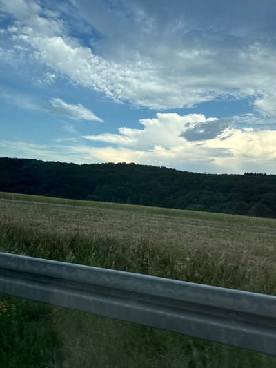 This is a wide-angle photograph taken from a moving vehicle, looking towards a grassy field and a treeline under a cloudy sky. The foreground features a metal guardrail. The middle ground shows a dry, yellowed grassy field. The background consists of a dense, dark green treeline that covers a rolling hill. The sky above is a mix of blue sky and scattered white and gray clouds. The overall impression is that of a rural landscape in Germany, likely during the daytime. The image is sharp and clear, capturing the textures of the grass, trees, and clouds. There are no people or animals visible in the frame.