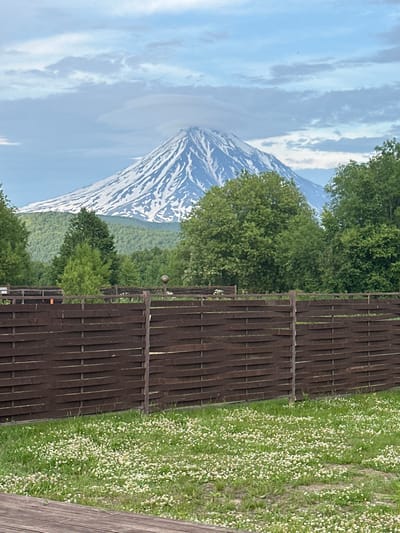 A snow-capped mountain rises majestically in the background, its peak shrouded in a wispy cloud formation. In the mid-ground, a dense forest of lush green trees creates a vibrant backdrop. In the foreground, a dark brown wooden fence runs horizontally across the frame, partially obscuring a field of green grass dotted with numerous small white flowers. The scene appears to be a picturesque landscape possibly located near Yuzhnyye Koryaki, Russia, showcasing the natural beauty of the region with a man-made fence adding a sense of domesticity or boundary to the wilder landscape. There are no people or animals visible in the image. The overall lighting suggests it is daytime, with a cloudy sky.