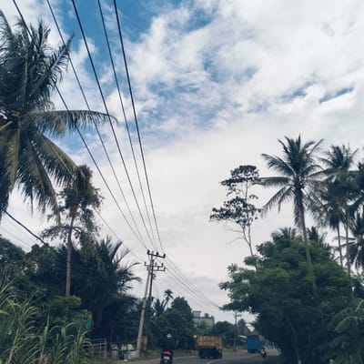 This photograph captures a daytime scene along a road in Pandrahkandeh, Indonesia. The sky above is filled with scattered white and grey clouds, revealing patches of bright blue. Numerous black power lines stretch across the frame, originating from utility poles situated on the sides of the road.
On the left, large palm trees dominate the foreground and midground, with visible coconuts hanging from the fronds of the closest palm. Lush, dense tropical vegetation, including other types of trees and tall green grasses, lines the edges of the paved road. The road itself curves gently into the distance, where a person on a motorcycle, wearing a helmet, is seen driving away from the viewer. Further down the road, a yellow truck and a blue truck are also visible. On the right side, more palm trees and other tall trees with varied foliage rise against the sky. The lighting indicates it is daytime, possibly morning or early afternoon, with a generally bright but diffused light. No visible text is discernible in the image.