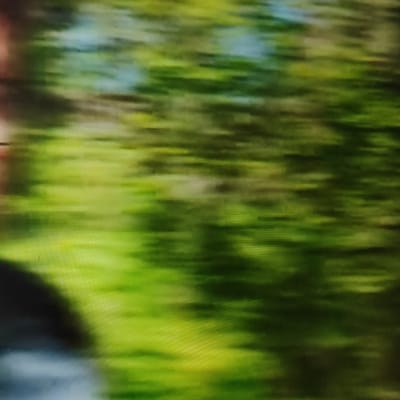 The image is a blurred, abstract view of a park in Płock, Poland. The dominant colors are various shades of green and some yellow, suggesting lush foliage. The motion blur indicates movement, possibly from a vehicle or a handheld camera. In the lower left quadrant, a dark, indistinct shape is visible, which could be a person or an object. The background consists of soft, horizontal bands of color, creating a painterly effect. The overall impression is one of a vibrant, outdoor setting viewed with a strong sense of motion or through a damaged lens.