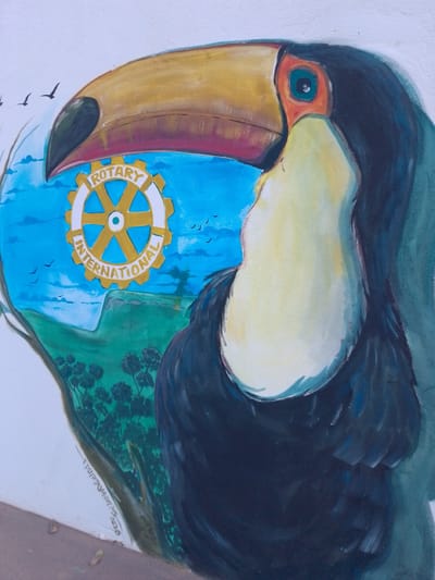 The image shows a mural painted on a wall in Cáceres, Brazil. The mural features a large toucan in the foreground, with its head and beak dominating the frame. The toucan's beak is a vibrant yellow and red, and its eye is a striking blue with a black pupil. Within the toucan's beak area, a landscape scene is depicted, with rolling green hills, a bright blue sky with scattered clouds, and several small black birds in flight. A prominent Rotary International logo, a yellow gear with "ROTARY INTERNATIONAL" inscribed in white around it, is also visible within the beak opening. The toucan's body is painted in dark blues and greens, with lighter yellow and white plumage on its chest and neck. The lower portion of the mural shows a dark green forest with silhouetted trees. A signature, "EDURDOMARTINS 2020," is inscribed in white along the bottom left of the mural. The wall appears to be outdoors, with a hint of the ground visible at the bottom of the image, suggesting it is a public space.