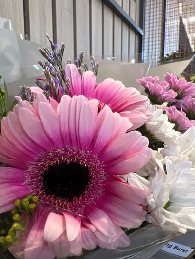 This is a close-up, eye-level, indoor shot of a bouquet of flowers. The flowers are predominantly pink Gerber daisies and white chrysanthemums, with some purple filler flowers. The background appears to be a retail environment with vertical blinds and a metal grate structure visible. There is a white label with "ng Burst" visible at the bottom right corner of the image, suggesting this is a product for sale. There are no people present in the image. The lighting is bright and natural. The overall impression is one of fresh, vibrant flowers. The location in the city of Donegal, Ireland, is not discernible from the image itself.