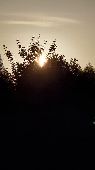 The image shows a silhouette of trees against a hazy, bright sky, suggesting either sunrise or sunset. The sun's rays are piercing through the foliage of the trees, creating a lens flare effect in the center of the image. The foreground is predominantly dark, obscuring any details at ground level. The sky is a pale, muted tone with a subtle horizontal cloud formation. The overall impression is that of a natural scene, possibly a park or a wooded area. There are no visible people or man-made structures that would indicate a specific location within Ichenhausen, Germany.