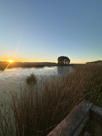 Sunset over a waterway reflects a brilliant orange sun. Tall reeds line the edge, bordering still, light-colored water. A solitary tree stands on the horizon. A weathered wooden structure is in the foreground. The sky shifts from blue to a soft orange glow. The entire scene is captured in a slightly rotated portrait.