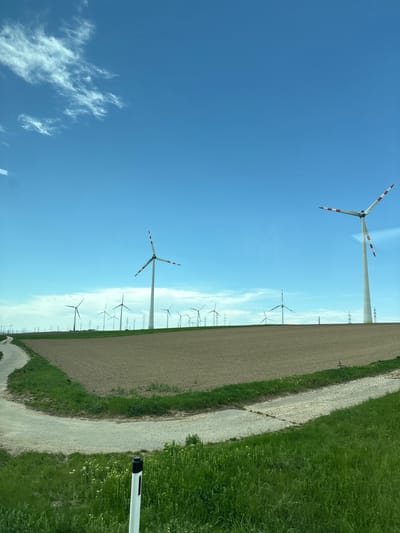 The image captures a wide-angle view of a wind farm under a bright, clear sky, likely during the daytime. The scene is dominated by numerous wind turbines extending across a flat, open landscape.

In the foreground and mid-ground, several modern wind turbines are prominently featured. Two large turbines, one on the left and another on the right, stand tall with white towers and blades tipped in red and white stripes. Their blades are spread wide, indicative of either motion or a stopped position. Further in the distance, a long row of similar, though smaller, wind turbines stretches across the horizon, suggesting an extensive renewable energy facility. Interspersed among these distant turbines are slender power line pylons, indicating electricity transmission infrastructure.

The sky, occupying the upper half of the image, is a vibrant, cloudless blue, save for a few faint, wispy white clouds clustered in the upper left quadrant. The lower half of the image displays a rural landscape composed of agricultural fields. A wide, light-colored dirt or gravel path meanders through the scene, bordered by strips of lush green grass. On one side of the path, a field of tilled brown earth is visible, while on the other, fields of vibrant green vegetation extend into the distance. In the bottom right corner, a partial view of a white and black cylindrical object, possibly a marker or post, can be seen.

The scene conveys a sense of calm and industrial efficiency integrated into a natural environment. The setting is consistent with a wind farm in an open, agricultural area, aligning with the provided location context of Bruck an der Leitha, Austria. No discernible text is visible in the image.