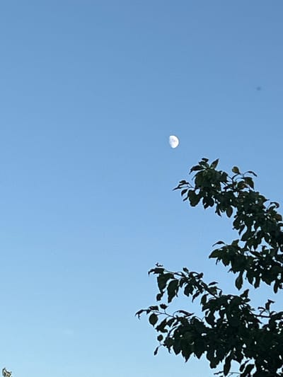 This image captures a clear, pale blue sky, suggesting daytime, likely mid-morning or afternoon. The sun is not directly visible, but the bright sky and the appearance of the moon indicate daylight. A partial view of dark green tree leaves and branches is present in the upper right quadrant of the frame, suggesting an outdoor setting with foliage.
A notable object in the sky is the moon, visible as a bright, slightly hazy disc, appearing as a waning crescent or gibbous phase. Its presence during daylight hours is common. There are also a couple of small, dark specks in the sky, which could be distant birds, insects, or simply lens flare or dust on the camera.
The overall scene is peaceful and natural. There are no people or obvious human-made objects other than the camera that captured the image. The location context provided places this scene in the Volchinsky Village Council, Belarus, implying a rural or semi-rural landscape. The image evokes a sense of calm and the beauty of the daytime sky.