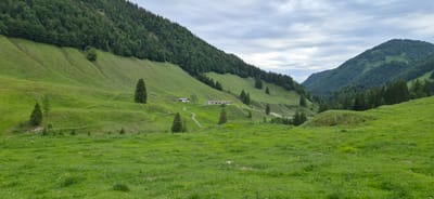 This landscape image depicts a verdant mountain valley in the geographical vicinity of Erl, Austria, under an overcast sky. The foreground and lower to mid-slopes are covered in lush green grass. The prominent left hillside displays multiple horizontal terraced formations across its grassy expanse, ascending to a dense coniferous forest. Several isolated coniferous trees are interspersed on this grassy slope. A cluster of small, light-colored buildings with dark roofs is situated on the lower portion of the left hillside. A winding, light-colored dirt path is visible on the grassy terrain, leading towards these structures. The right side of the frame features another steep hillside, heavily forested with coniferous trees, defining the valley's opposing flank. No human figures, animals, or specific actions are discernible within the scene.