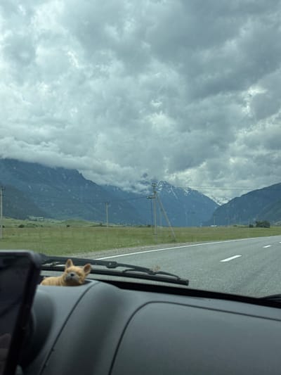 The image is taken from inside a vehicle looking out through the windshield at a cloudy mountain landscape. In the foreground, on the dashboard of the car, is a small, light brown, dog-shaped figurine. The figurine is positioned behind the windshield wipers. The road ahead is asphalt with white lane markings. Beyond the road, there is a grassy field with some scattered trees. In the background, imposing mountains rise, partially obscured by heavy, dark clouds that cover the upper portions of the peaks. The mountain slopes are a deep blue-green, and some higher elevations appear to have snow. Several utility poles with wires are visible in the midground, spaced along the field. The sky is overcast with thick, grey clouds. The overall impression is of a drive through a mountainous region under a heavy sky. The location is identified as Verkhnyaya Teberda, Russia.