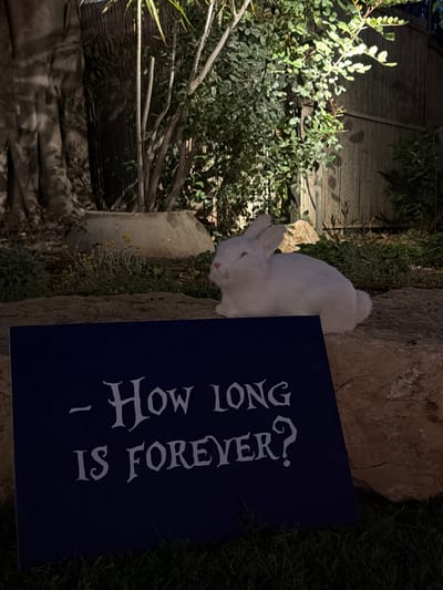 The image captures a white rabbit resting outdoors at night in what appears to be a garden or natural setting. The rabbit, with its fluffy white fur and a hint of pink on its nose, is positioned to the left of a dark blue sign. The sign features white, stylized text that reads: "- How Long IS FOREVER?".
The background consists of various green foliage, bushes, and some dry branches, with large rocks interspersed throughout the scene. A wooden fence or structure is partially visible behind the greenery. The lighting suggests it is nighttime, with artificial light illuminating parts of the vegetation and creating shadows. The ground beneath the rabbit and sign appears to be a mix of grass and dirt. The scene evokes a tranquil, contemplative mood. This setting is located in Nir Eliyahu, Israel.