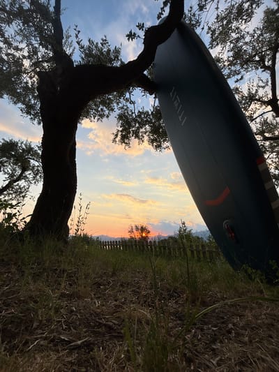 The image depicts a sunset scene in Garda, Italy, with a large, dark tree silhouetted against a sky filled with soft clouds tinged with orange and yellow hues. A dark blue paddleboard leans against the tree, its side facing the camera and displaying some text and red markings. The ground in the foreground is covered with dry grass and twigs. In the background, a low wooden fence separates the grassy area from a distant landscape with hints of trees and hills. The overall atmosphere is tranquil and natural, suggesting an outdoor recreational setting near Lake Garda. There are no people visible in the image.
