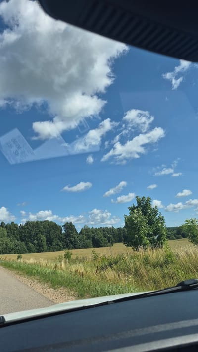The image shows a bright, sunny day with a clear blue sky dotted with fluffy white clouds. The view is from inside a vehicle, looking out through the windshield. A sticker with text in a foreign language and numbers is visible on the windshield. The landscape outside consists of a paved road on the left, bordered by a grassy verge with tall dry grass and some green vegetation. Beyond that, there is a field of golden-brown grass and a dense line of green trees forming a forest in the background. A large, leafy green tree stands prominently in the middle ground to the right. The overall impression is a rural scene in Sienapurvs, Latvia, on a pleasant day.
