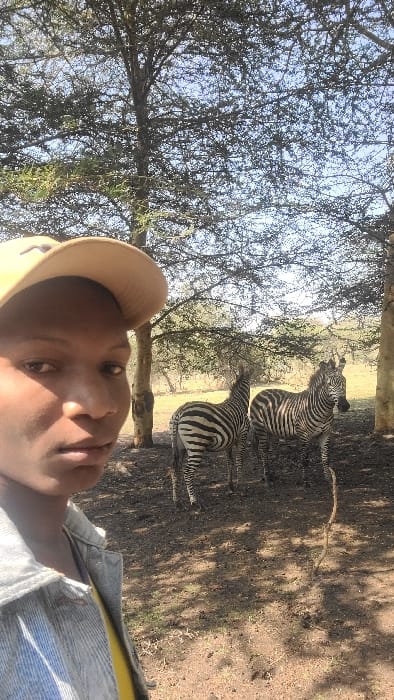 A dark-skinned individual, wearing a light brown baseball cap, a light blue denim jacket, and a yellow undershirt, is partially visible on the left side of the frame, taking a selfie. Their face is turned towards the camera with a neutral expression. In the mid-ground, two zebras are present on dry, reddish-brown ground. The zebra on the left is positioned with its rear-left quarter visible, while the zebra on the right is oriented partially towards the viewer, looking to the right. Both zebras display characteristic black and white stripes. The environment features several trees with sparse foliage and slender trunks, indicative of a savanna or bushland setting. A clear blue sky is visible through the tree canopy. Strong sunlight illuminates the scene, casting shadows on the ground, where a thin, bare stick protrudes upright in the lower right. The scene is situated in an outdoor, natural environment near Mto wa Mbu, Tanzania.