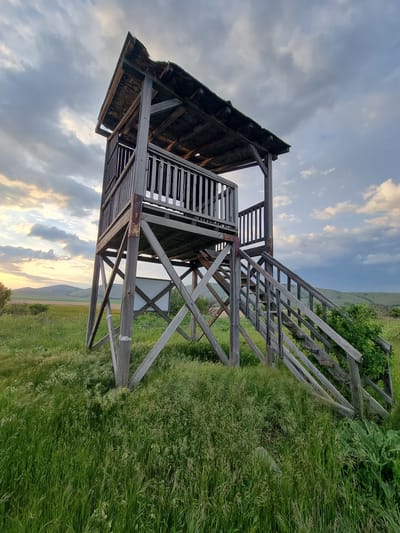 The image depicts a weathered, wooden watchtower or observation platform, likely abandoned, set in a grassy field near Aldomirovtsi, Bulgaria. The structure has two levels with a partially dilapidated roof and stairs leading to the upper level. The sky behind it features a mix of clouds and sunlight, suggesting either sunrise or sunset. The surrounding environment consists of tall grass and some vegetation. In the background, a low hill can be seen. No people are visible in the image.