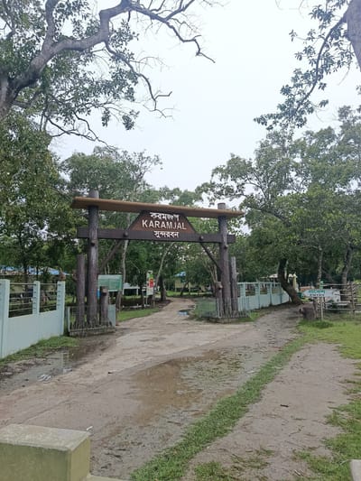 This is a medium-angle, eye-level shot of the entrance gate to Karamjal, Sundarban, located in Baniashanta, Bangladesh. The entrance is a large wooden archway with a sign that reads "KARAMJAL SUNDERBAN" in English and Bengali. The gate is made of rough-hewn logs and appears to be sturdy and rustic.

The pathway leading through the gate is dirt and has puddles of water, indicating recent rain. On either side of the path are lush green trees and foliage, typical of a forest environment. To the left of the entrance, there is a light blue fence and some low-rise buildings visible in the background. On the right side, there is a sign that says "ENTRY" in English, and a wooden structure that appears to be part of the park's infrastructure.

A small monkey is perched on the left side of the wooden gate, looking towards the viewer. The sky is overcast, suggesting a cloudy or rainy day. The overall impression is of a natural, somewhat damp, entrance to a wildlife sanctuary or forest park.