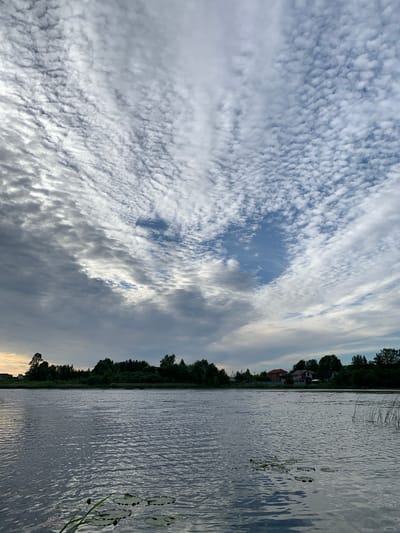 This is a rotated, landscape-oriented photograph of a lake at dusk in Chernovo, Russia. The left side of the image is dominated by a dramatic sky filled with a textured layer of altocumulus clouds. These clouds appear as small, rounded masses or ripples, interspersed with patches of blue sky and darker, heavier clouds towards the bottom. The sunlight catches the edges of the clouds, creating a luminous effect.

The right side of the frame features the calm, rippling surface of a lake. The water reflects the sky and the dark treeline that borders the distant shore. Lily pads are visible on the water's surface, adding a natural element to the scene. The treeline is dense and stretches across the horizon, punctuated by a few houses nestled amongst the trees on the far bank. The houses have red roofs and appear to be a small village. Tall reeds or grasses grow along the edge of the water in some areas.

The overall mood of the image is peaceful and serene, with the soft light of dusk casting a gentle glow. The clouds suggest a dynamic weather pattern that is clearing or transitioning, while the still water indicates a calm evening. There is no visible text in the image.