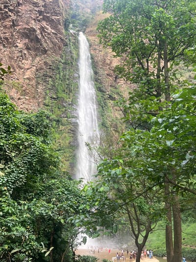 The image depicts the Wli Waterfalls, located in Likpe Bakwa, Ghana. A prominent, tall waterfall dominates the center, cascading white water down a steep, rocky cliff face. The cliff is predominantly brown, with sections covered in green moss and dense foliage, particularly along the lower and middle portions. Lush green trees and vegetation frame the scene on both the left and right sides, with several tree trunks visible on the right.
At the base of the waterfall, a natural pool or basin is visible, where approximately 30-40 individuals are gathered. Most people are standing or wading in the reddish-brown water near the waterfall's misty spray. Some individuals are visible on a sandy or muddy bank to the right of the water. They are dressed in various casual attire, with some appearing to be partially submerged. No discernible specific actions or interactions beyond general gathering are evident due to the distance. The overall environment suggests a natural, outdoor recreational area.