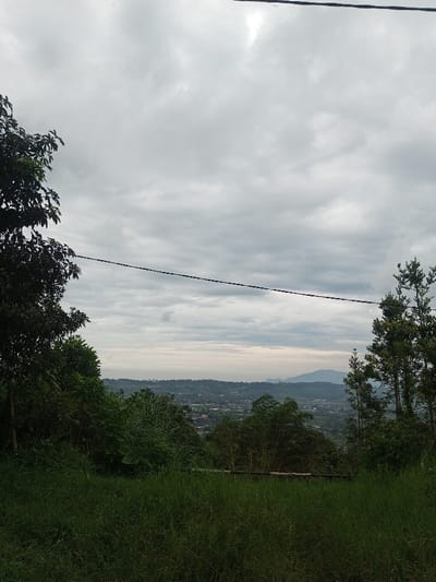 The image displays an expansive outdoor landscape from an elevated perspective, situated in Hasanparthy mandal, India. The foreground consists of dense, uncut green grass and various dark green foliage, including trees partially visible on the left and a cluster of taller, slender trees on the right. A dark, thin cable, likely a power or communication line, traverses horizontally across the upper-mid section of the frame. The midground reveals a sprawling urban area with numerous buildings, indicative of a town or city, nestled within a landscape of rolling hills covered in lush green vegetation. In the background, distant mountains or large hills with a faint bluish-grey hue are visible on the horizon. The sky is overcast, dominated by a thick layer of grey and white clouds, suggesting a cloudy day with diffuse lighting. No individuals or specific actions are depicted in the scene.