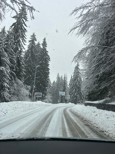 A snow-covered road winds through a wintry scene in Pamporovo, Bulgaria. The road is partially cleared with visible tire tracks. Snow-laden trees line both sides of the road, forming a dense forest. Bare branches hang overhead. Road signs are visible, some with advertisements. Snow is falling. The scene is viewed from inside a building, possibly a window.
