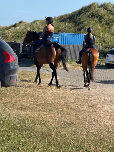 In Ballykinler, United Kingdom, two individuals are horseback riding near a dune landscape. The rider on the left is wearing a black tank top, blue pants, and a black helmet. The horse she is riding is a bay color with a dark mane and tail. To the right, another rider, wearing a blue shirt, dark pants, and a black helmet with a reflective vest, is also on a bay horse with a dark mane and tail. The horses are walking on a sandy path, with dry grass and dunes visible in the background. A dark colored Peugeot car is parked to the left of the frame, and a white Volkswagen Golf is parked to the right. A blue shipping container is visible behind a wooden fence. The sky is clear and blue.