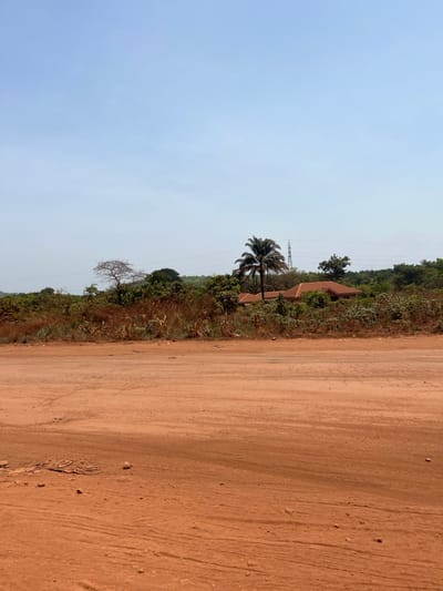The scene depicts a wide, unpaved reddish-brown laterite road or expanse of ground occupying the lower half of the frame. Visible on the ground are faint tire tracks and scattered small rocks. Beyond the road, the mid-ground features a dense band of mixed vegetation, including dry grasses and green trees. Partially obscured within this foliage, a single-story structure with a reddish-brown tiled roof is visible. A prominent palm tree with a dark crown stands to the left of the building, and further left, a sparse-branched deciduous tree is present. In the background, additional green trees extend towards a low horizon. A tall, grey metallic lattice structure, consistent with an electrical transmission tower, is visible on the right side, rising above the treeline. Overhead, a clear, light blue sky dominates the upper portion of the image. No individuals, vehicles, or animals are observed. The location is Orokam, Nigeria.