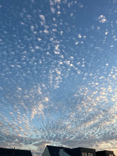 The image depicts a vast expanse of a blue sky filled with scattered, small, fluffy white clouds, some of which are tinged with the warm hues of sunrise or sunset. The clouds are arranged in a somewhat organized pattern, creating a textured appearance across the sky. In the lower portion of the image, the rooftops of several modern houses are visible, with dark gray or black tiled roofs and some dark-colored facades. The overall scene suggests an outdoor view, likely from a residential area in Kapelle-op-den-Bos, Belgium, at either dawn or dusk. There are no people or active events depicted.