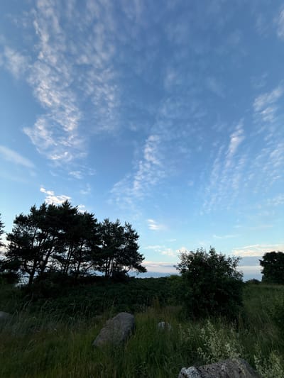 This is a vertical, eye-level shot of a grassy hill under a bright blue sky filled with wispy white clouds. In the foreground, tall green grass and a large grey boulder are visible. In the middle ground, a dense green bush and several dark green pine trees stand in silhouette against the sky. The background shows a distant horizon with a hint of pinkish light. The scene is located in Rohuneeme, Estonia.